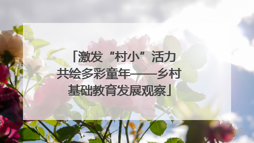 激发“村小”活力 共绘多彩童年——乡村基础教育发展观察