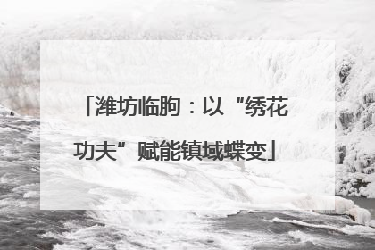 潍坊临朐：以“绣花功夫”赋能镇域蝶变