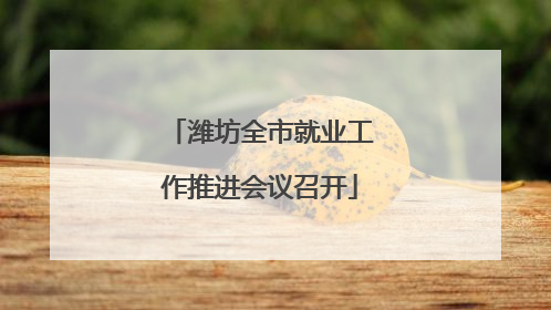 潍坊全市就业工作推进会议召开