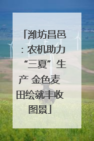 潍坊昌邑：农机助力“三夏”生产 金色麦田绘就丰收图景
