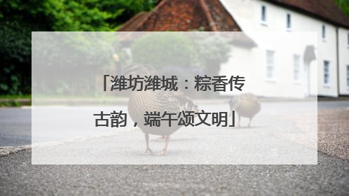 潍坊潍城：粽香传古韵，端午颂文明