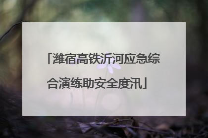 潍宿高铁沂河应急综合演练助安全度汛