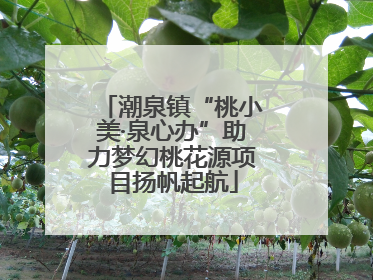 潮泉镇“桃小美·泉心办”助力梦幻桃花源项目扬帆起航