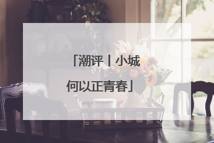 潮评丨小城何以正青春
