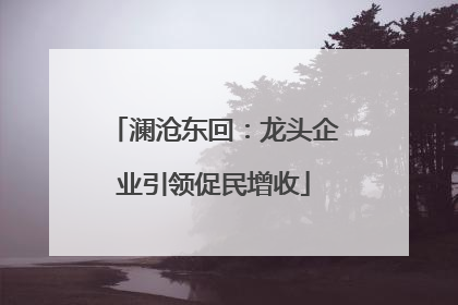澜沧东回：龙头企业引领促民增收