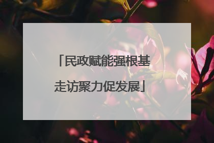 民政赋能强根基 走访聚力促发展