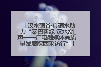 汉水硒谷·真硒水助力“秦巴新绿 汉水潮声——广电融媒体高质量发展陕西采访行”