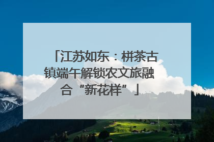 江苏如东：栟茶古镇端午解锁农文旅融合“新花样”
