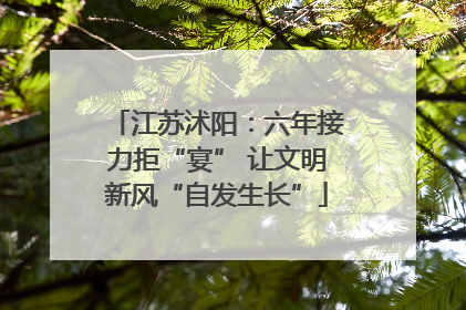 江苏沭阳：六年接力拒“宴” 让文明新风“自发生长”