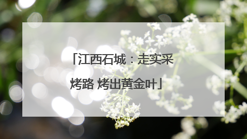 江西石城：走实采烤路 烤出黄金叶