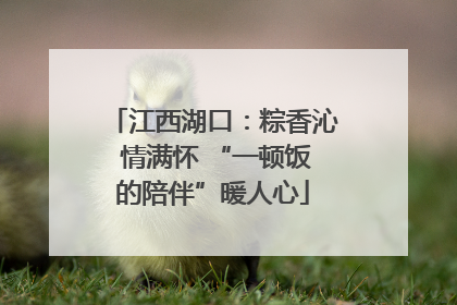 江西湖口：粽香沁 情满怀 “一顿饭的陪伴”暖人心