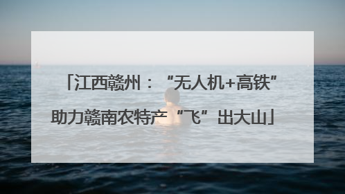 江西赣州：“无人机+高铁”助力赣南农特产“飞”出大山