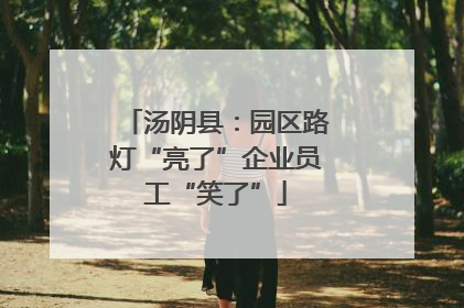 汤阴县：园区路灯“亮了”企业员工“笑了”