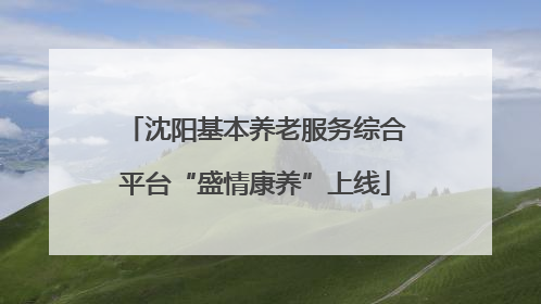 沈阳基本养老服务综合平台“盛情康养”上线