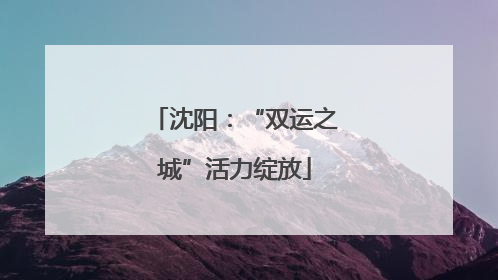 沈阳：“双运之城”活力绽放