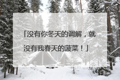 没有你冬天的调解，就没有我春天的菠菜！