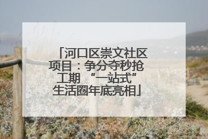 河口区崇文社区项目：争分夺秒抢工期 “一站式”生活圈年底亮相