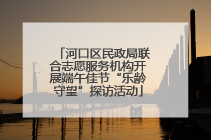 河口区民政局联合志愿服务机构开展端午佳节“乐龄守望”探访活动