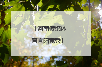 河南传统体育宜阳竞秀