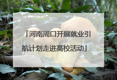 河南周口开展就业引航计划走进高校活动