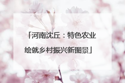 河南沈丘：特色农业绘就乡村振兴新图景