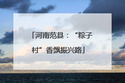 河南范县：“粽子村”香飘振兴路