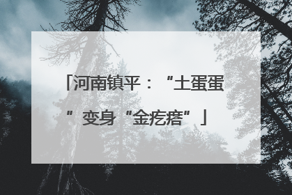 河南镇平：“土蛋蛋”变身“金疙瘩”