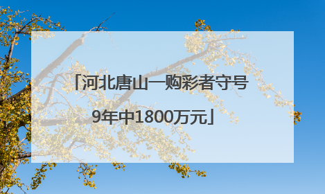 河北唐山一购彩者守号9年中1800万元
