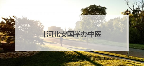 河北安国举办中医药养生主题市集