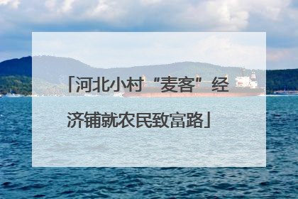 河北小村“麦客”经济铺就农民致富路