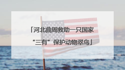 河北曲周救助一只国家“三有”保护动物翠鸟