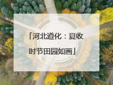 河北遵化：夏收时节田园如画