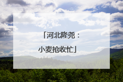 河北隆尧：小麦抢收忙