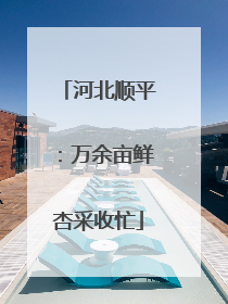 河北顺平：万余亩鲜杏采收忙