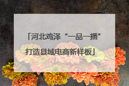 河北鸡泽“一品一播”打造县域电商新样板