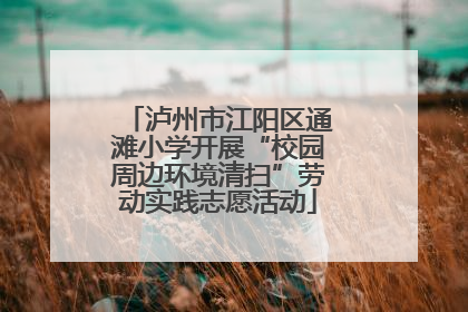 泸州市江阳区通滩小学开展“校园周边环境清扫”劳动实践志愿活动