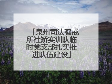 泉州司法强戒所社矫实训队临时党支部扎实推进队伍建设
