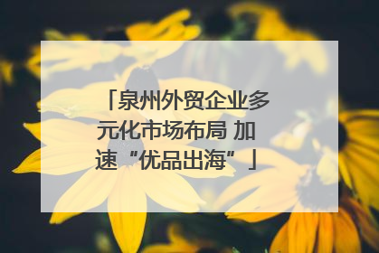 泉州外贸企业多元化市场布局 加速“优品出海”