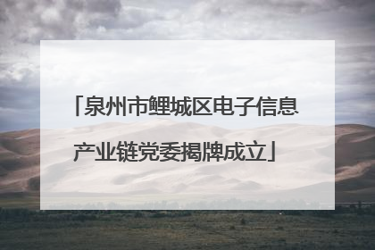 泉州市鲤城区电子信息产业链党委揭牌成立