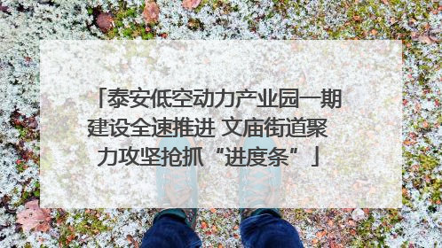 泰安低空动力产业园一期建设全速推进 文庙街道聚力攻坚抢抓“进度条”