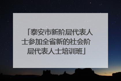 泰安市新阶层代表人士参加全省新的社会阶层代表人士培训班
