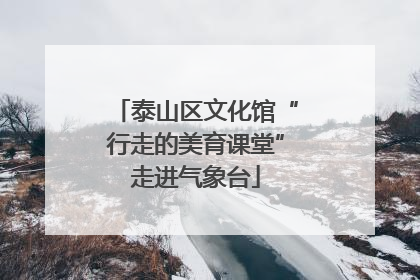 泰山区文化馆“行走的美育课堂”走进气象台