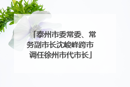 泰州市委常委、常务副市长沈峻峰跨市调任徐州市代市长