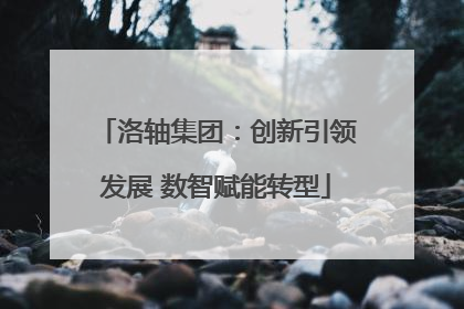 洛轴集团：创新引领发展 数智赋能转型