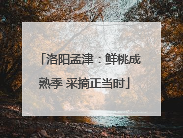 洛阳孟津：鲜桃成熟季 采摘正当时