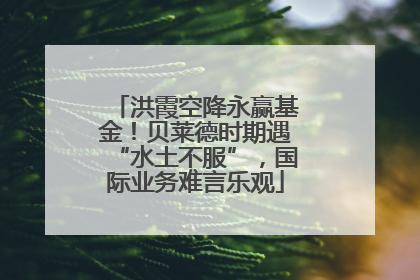 洪霞空降永赢基金！贝莱德时期遇“水土不服”，国际业务难言乐观