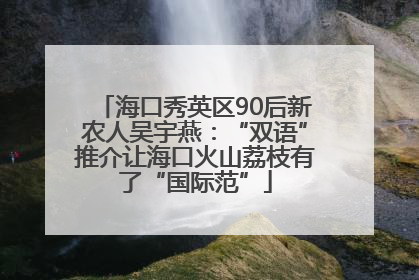 海口秀英区90后新农人吴宇燕：“双语”推介让海口火山荔枝有了“国际范”