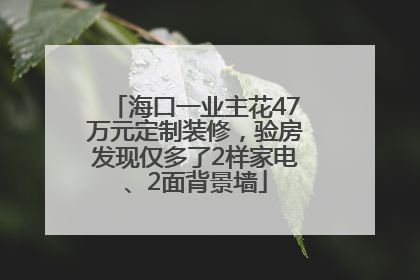 海口一业主花47万元定制装修，验房发现仅多了2样家电、2面背景墙