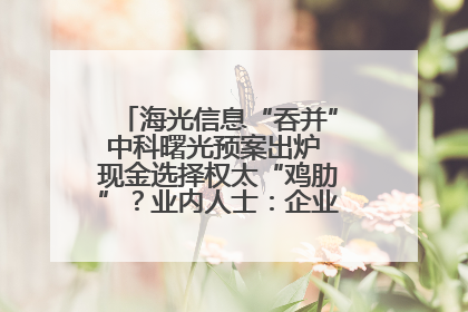 海光信息“吞并”中科曙光预案出炉 现金选择权太“鸡肋”？业内人士：企业不想大量现金流出