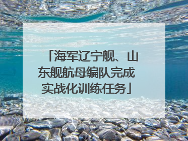 海军辽宁舰、山东舰航母编队完成实战化训练任务